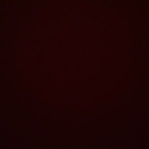 Meet your Posher, Larysa